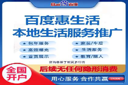 大型企业SEM外包实战案例