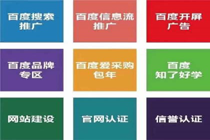 SEM优化技巧：实战案例深度剖析